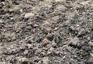 Çamurda oturan birinin resmi..