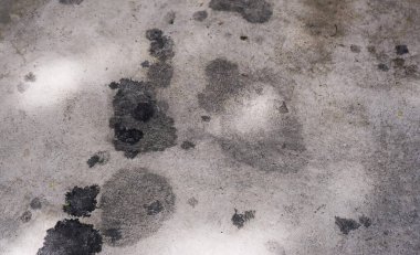 Zemin siyah noktalarla kaplı...