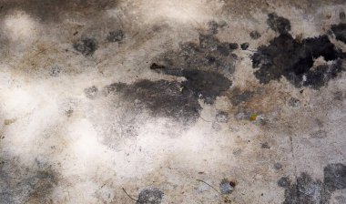 Zemin siyah noktalarla kaplı...