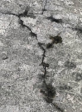 Kayadaki çatlak..