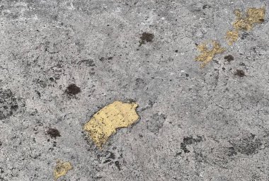 Yerde sarı bir yaprak var..