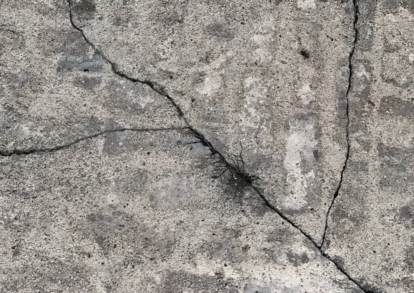 Crack Concrete — Stock Photo, Image