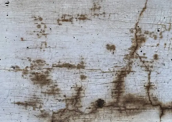 Tekstura Kory Drzewa — Zdjęcie stockowe
