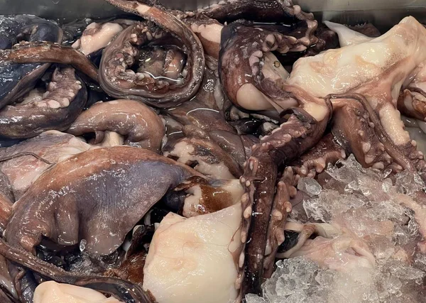 Octopus Bowl Ice — Stock Photo, Image