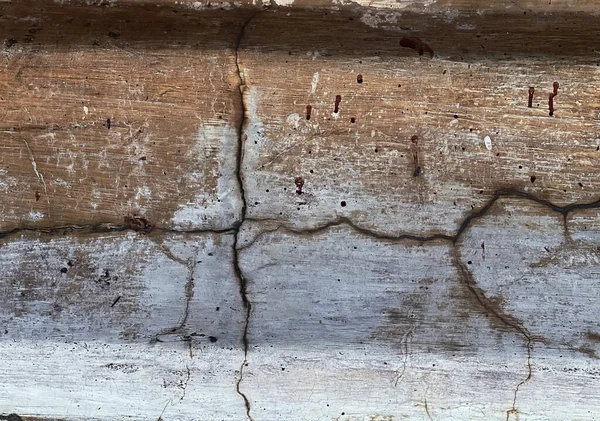 Tekstura Drewna — Zdjęcie stockowe
