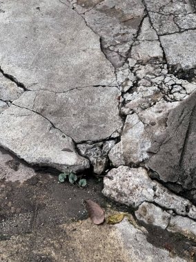 bir çatlak kaldırım.