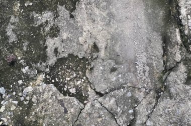 Kayanın dokusuna yakın çekim..