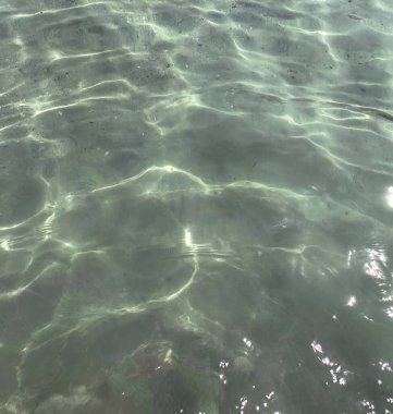 Su o kadar berrak ki, sudan yansıyan güneş ışığını görebilirsin...