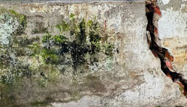 Beton bir duvarda yeşil ve beyaz boya.