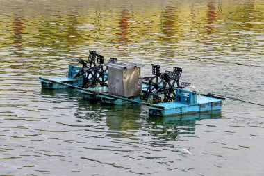 Gölde yüzen küçük bir tekne..