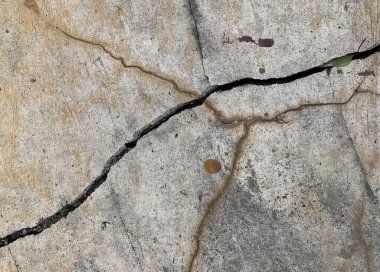 Bir çatlak kaya.
