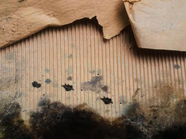 Yırtık bir kağıt ve yırtık bir kağıt olan bir duvar..