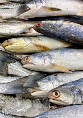 Pazarda sergilenen balıklar.