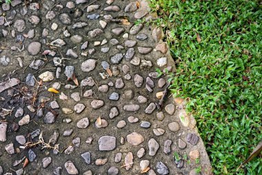 Parkta bir kaldırım.