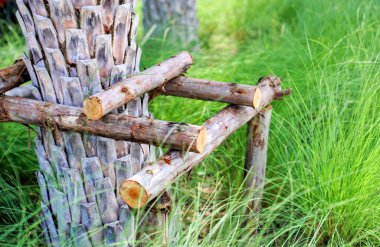 Ormandaki odunlardan yapılmış ahşap çitler..