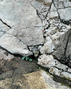 bir çatlak kaldırım.