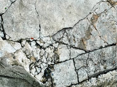 Taş duvarda bir çatlak..