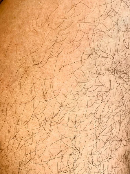 the texture of the hand - drawn hair on a brown background.