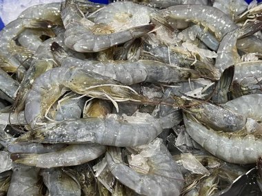 taze karides balık pazarında Satılık.