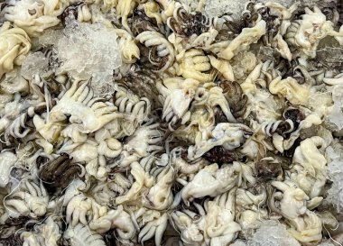 çiğ balık Market.