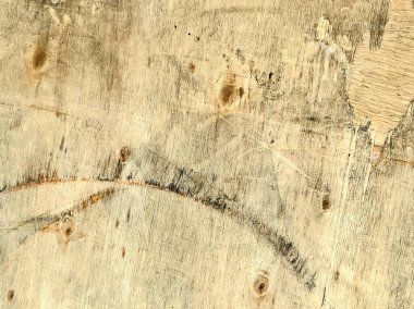 Bir ağaç gövdesi doku.