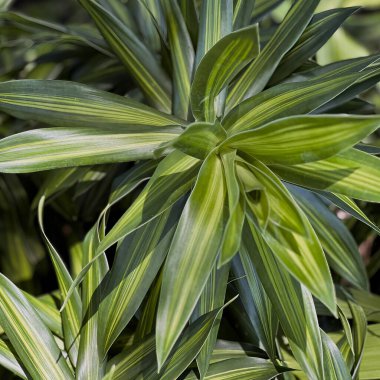 Fabrikaya yakın çekim..