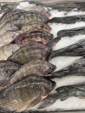 Buz yığınının üzerinde oturan bir grup balığın fotoğrafı..