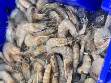 Karides ve karides dolu mavi bir kovanın fotoğrafı..