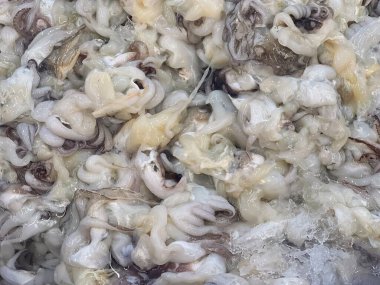 Bir tavadaki bir yığın mürekkep balığının fotoğrafı..