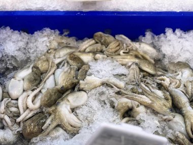 Bir sürü balıkla dolu mavi bir konteynerin fotoğrafı..