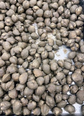 Masadaki bir tepsi istiridyenin fotoğrafı..