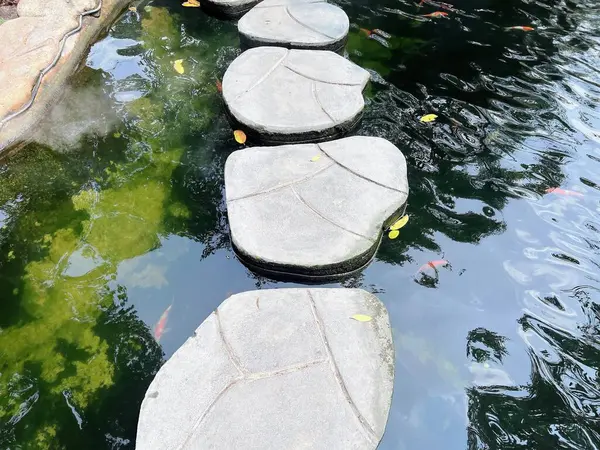a photography of a stone path in a pond with fish.