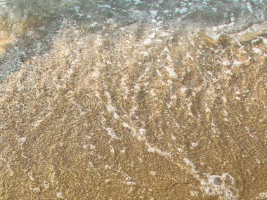 Sahilde elinde sörf tahtası olan birinin fotoğrafı..