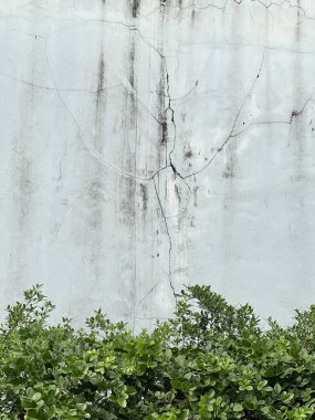 Duvarın önündeki yangın musluğunun fotografı..