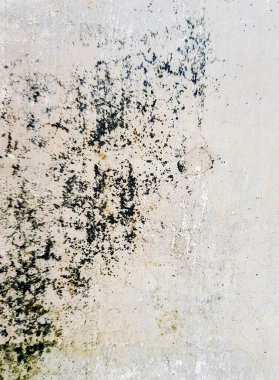a photography of a dirty wall with a black and white pattern. clipart