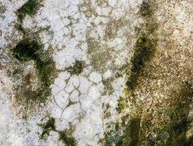 Kirli beton bir yüzeyin yeşil ve beyaz bir maddeyle fotoğrafı..