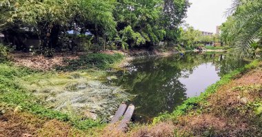 Ağaçlarla çevrili bir teknesi olan bir nehrin fotoğrafı..