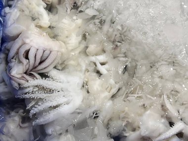 Mavi bir konteynırdaki bir yığın beyaz şeyin fotoğrafı..