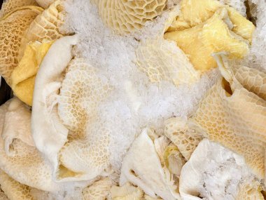 a photography of a pile of sea shells with a yellow and white shell. clipart