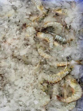 a photography of a bunch of shrimp sitting on top of ice. clipart
