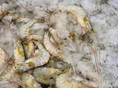 Buzun üzerinde oturan bir grup karidesin fotoğrafı..