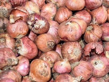 Bir sürü soğan yığını fotoğrafçılığı..