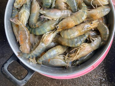 Masada oturan karides kavanozunun fotoğrafı..