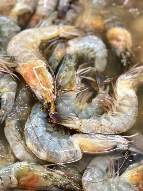 Su dolu bir tencerede bir grup karidesin fotoğrafı..