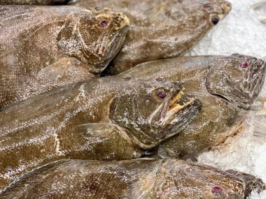 Buz yığınının üzerinde oturan bir grup balığın fotoğrafı..