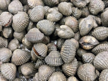 Bir masanın üstünde duran istiridye yığınının fotoğrafı..