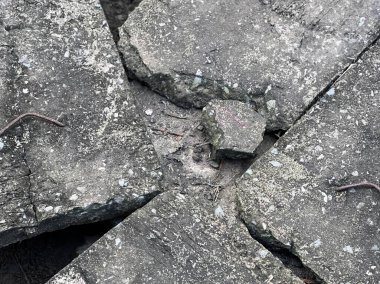 Üzerinde kertenkele olan kırık bir beton parçasının fotoğrafı..