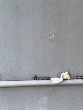 Bir çıkıntıda oturan beyaz bir ayının fotoğrafı..