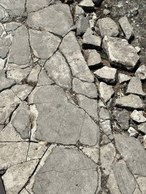 Bir köpekle kayalık bir yolda yürüyen birinin fotoğrafı..