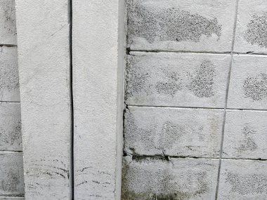 Duvarın yanında beyaz bir tuvaletin fotoğrafı..